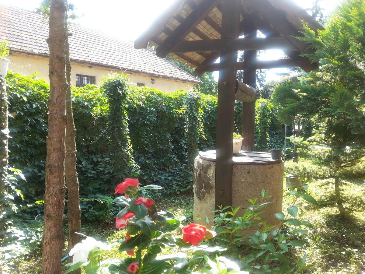 Felso Fogado Bed and Breakfast Felsőtold Εξωτερικό φωτογραφία