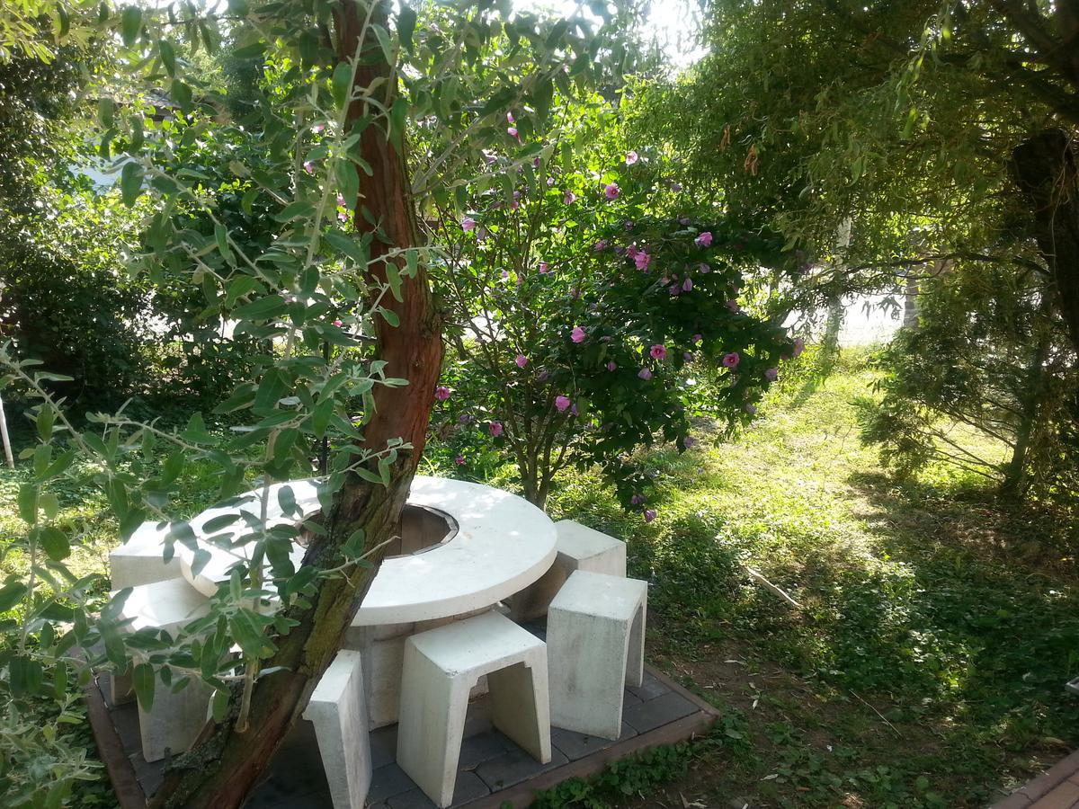 Felso Fogado Bed and Breakfast Felsőtold Εξωτερικό φωτογραφία